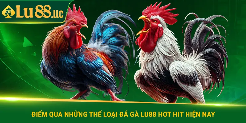 Điểm qua những thể loại đá gà lu88 hot hit hiện nay
